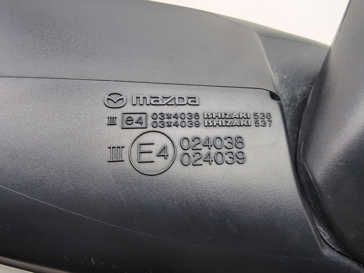 Door Mirror LH 7