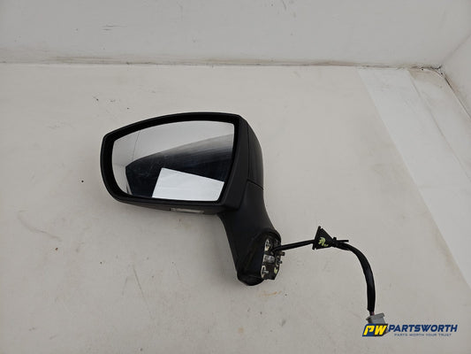 Door Mirror LH 1