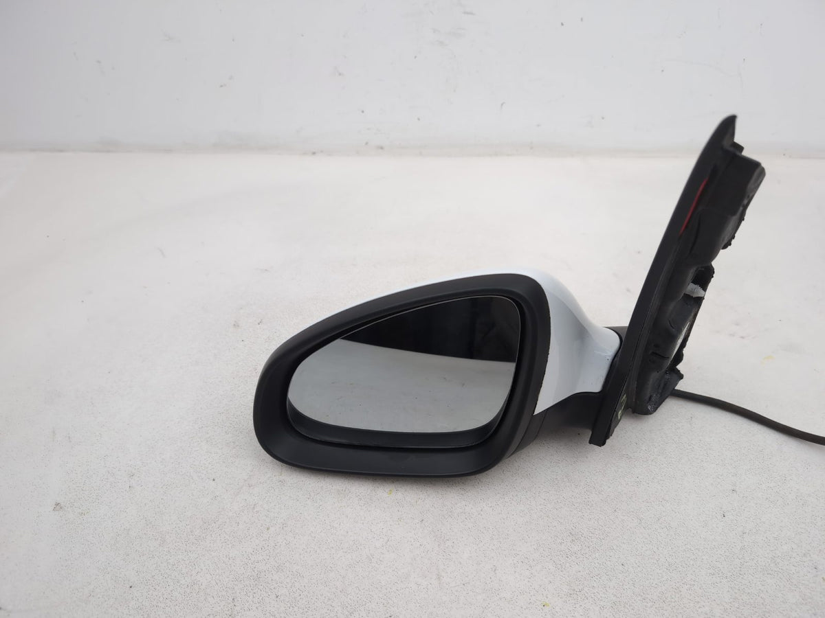 Door Mirror LH 1