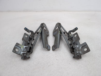 Bonnet Hinges 1