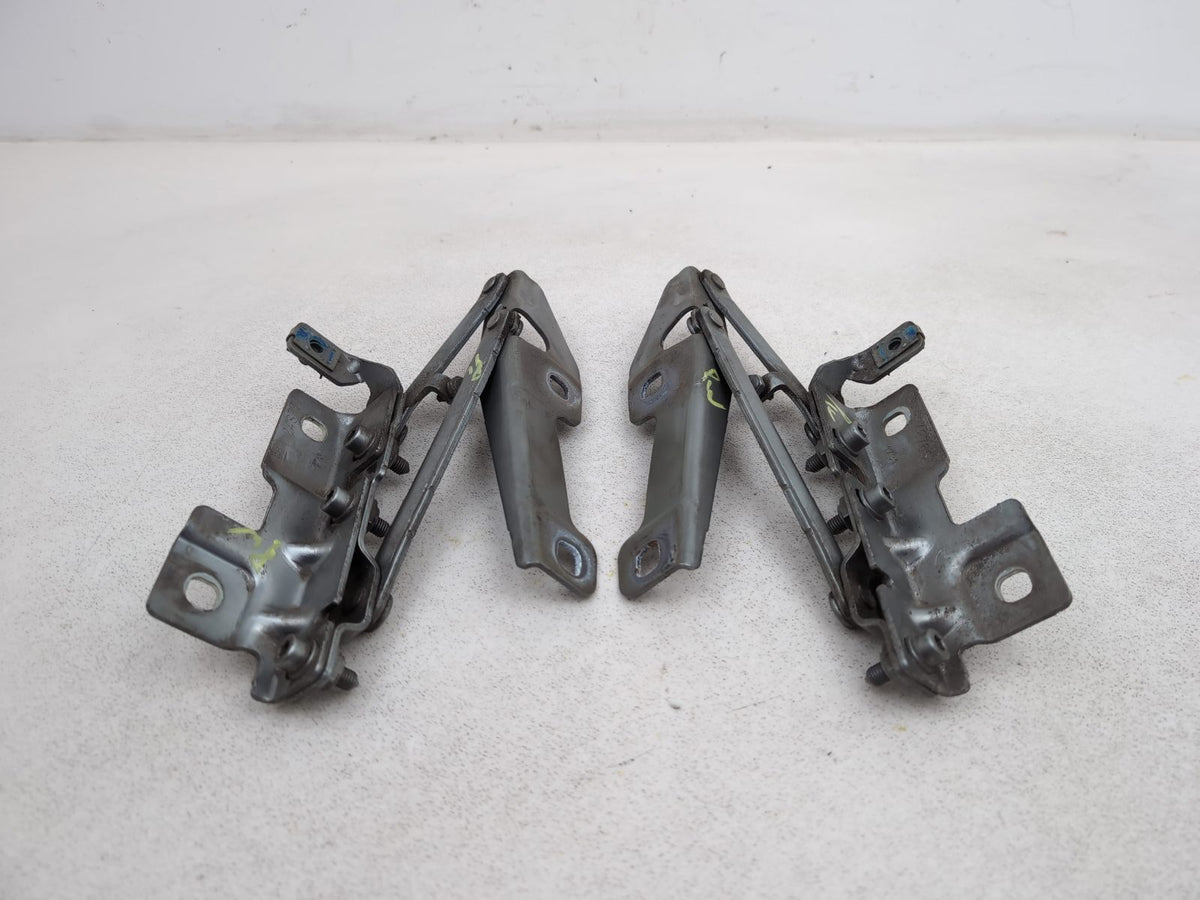 Bonnet Hinges 1
