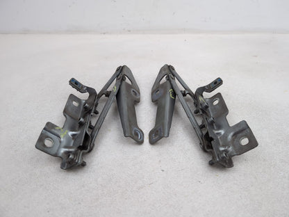 Bonnet Hinges 1