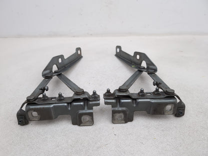 Bonnet Hinges 7