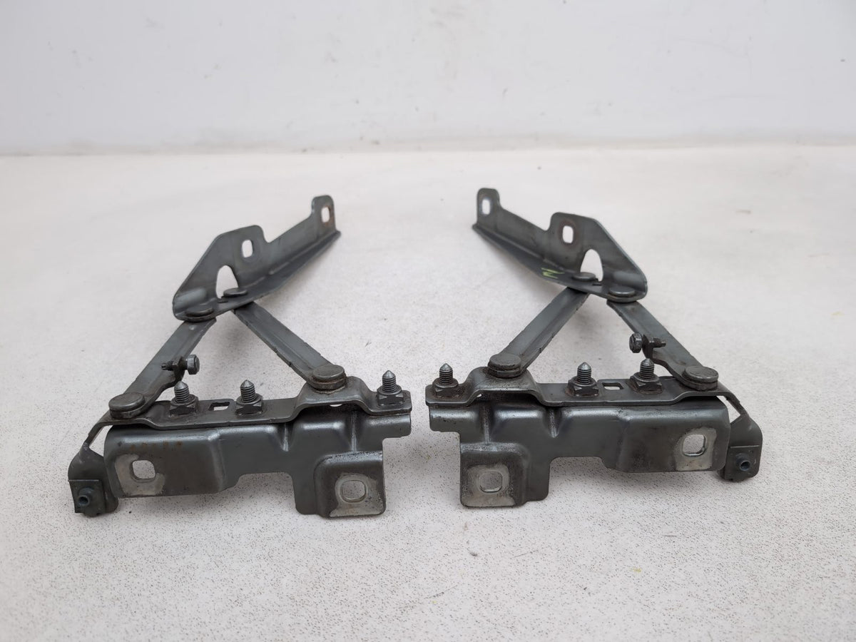 Bonnet Hinges 7