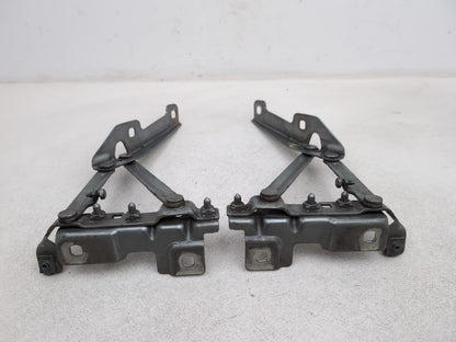 Bonnet Hinges 7