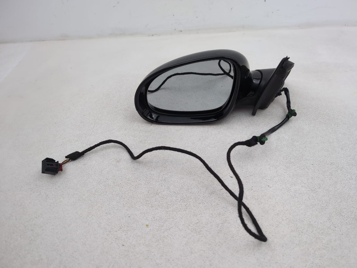 Door Mirror LH 1