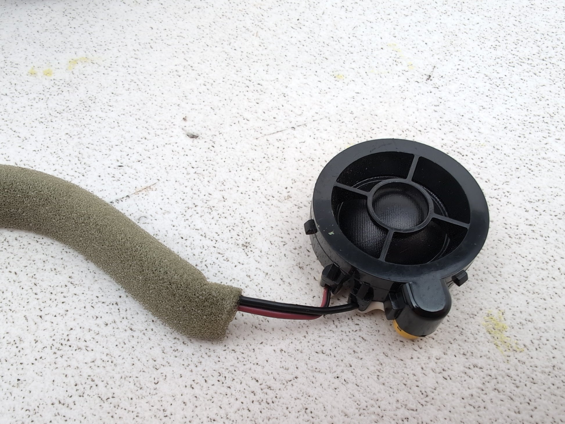 Speaker 7