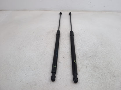 Tailgate Support Strut 1