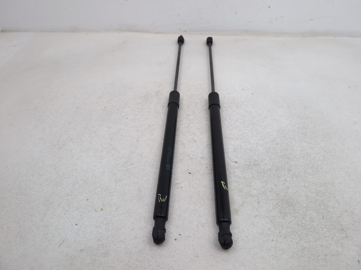 Tailgate Support Strut 1