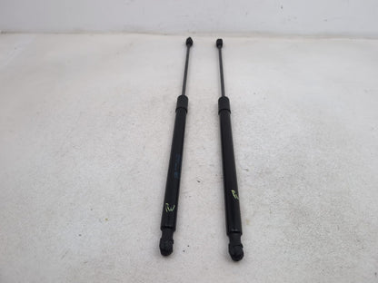 Tailgate Support Strut 1