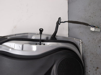 Door Front LH 13
