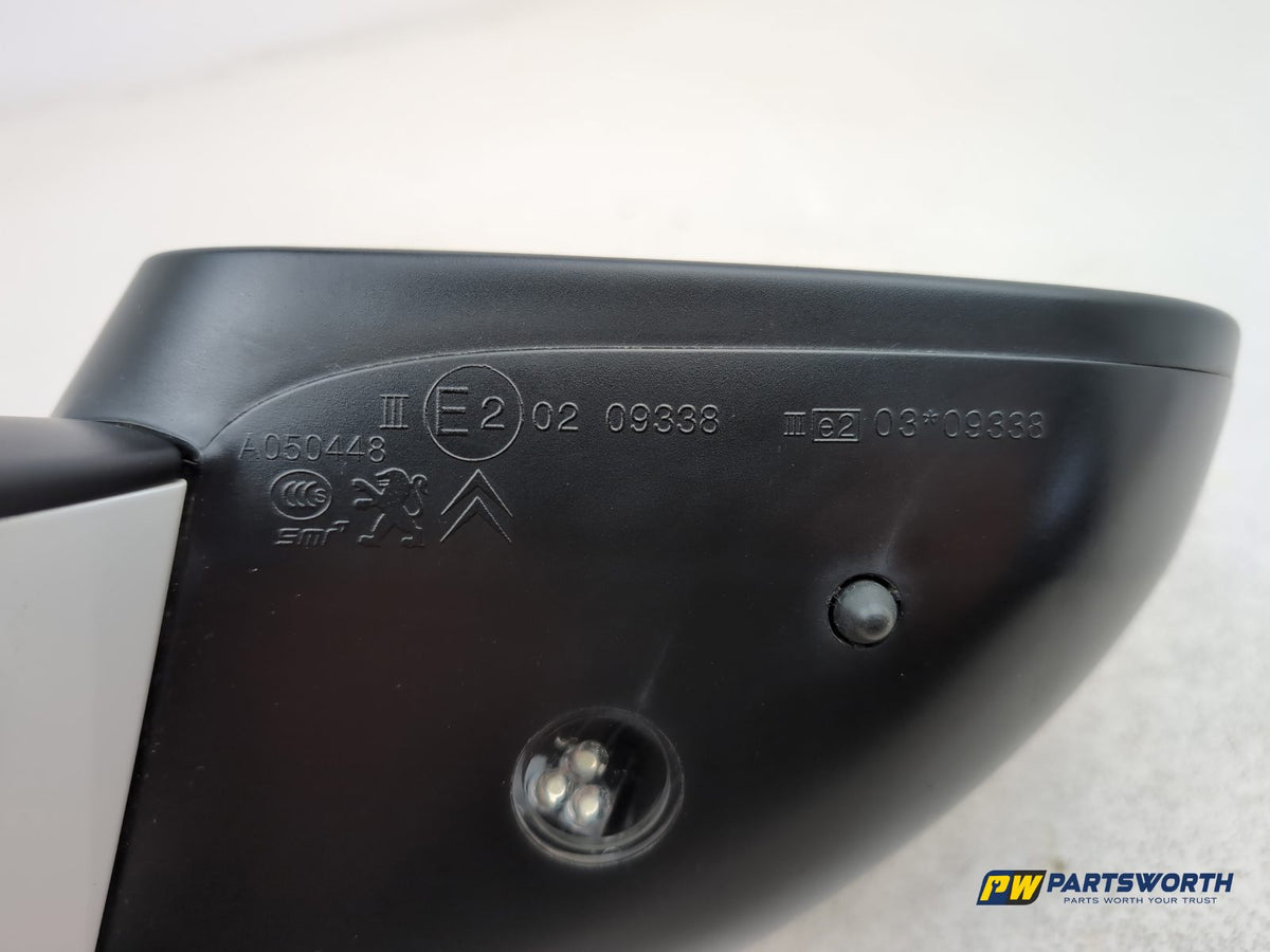 Door Mirror RH 7