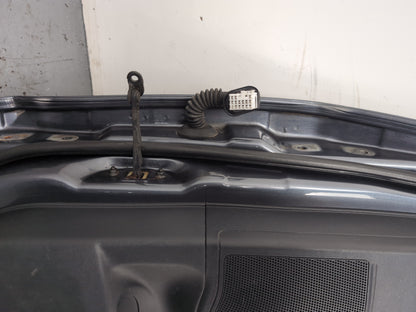 Door Rear RH 13