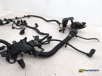 Wiring loom 7