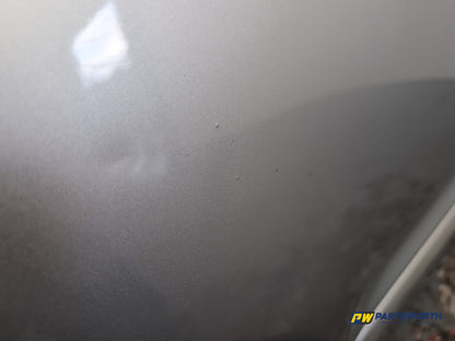 Door Rear RH 7