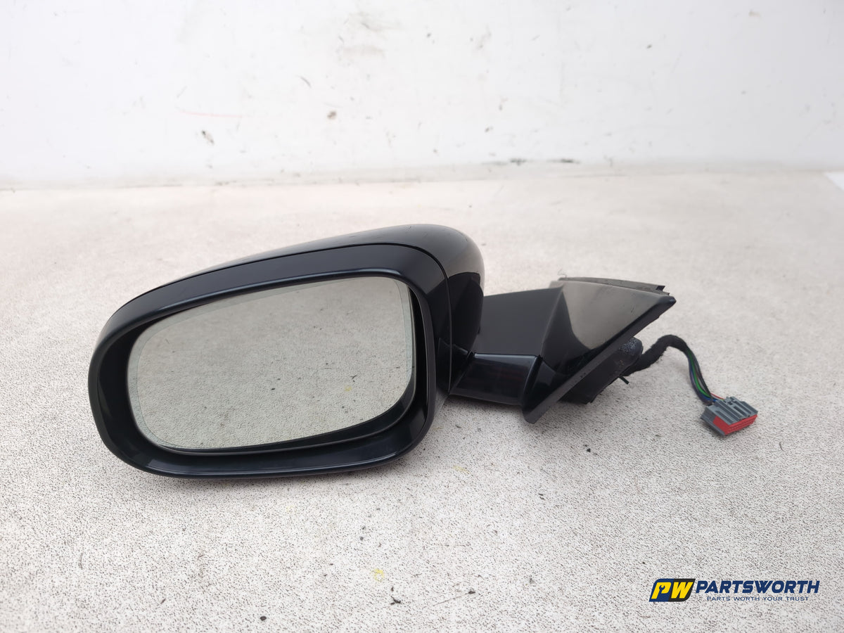 Door Mirror LH 1