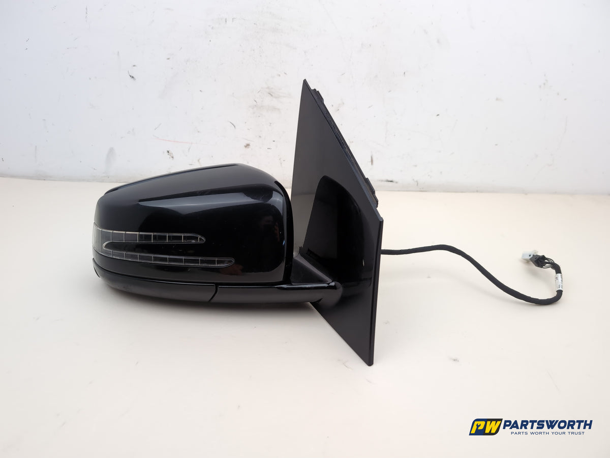 Door Mirror RH 1