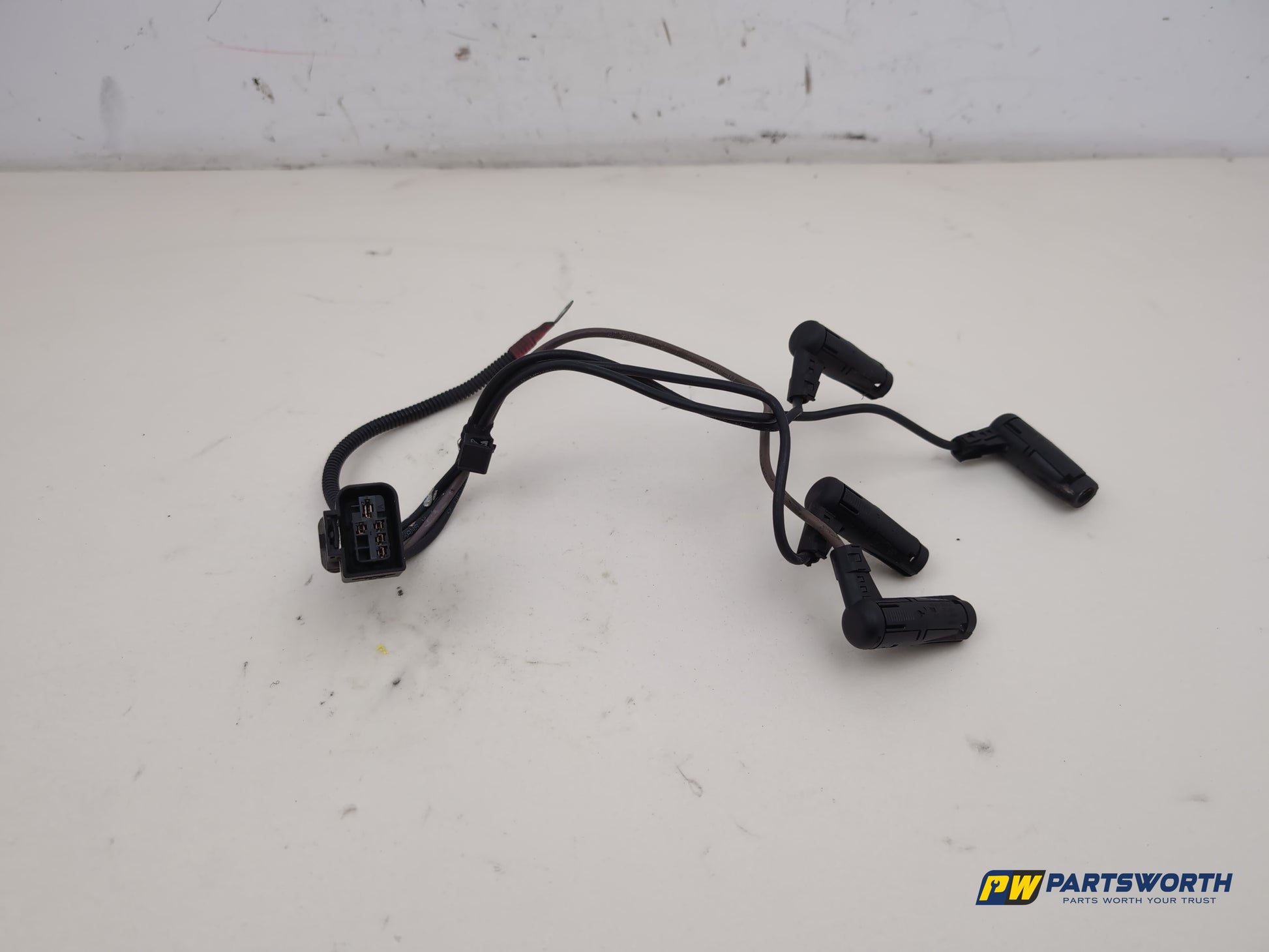 Wiring loom 1