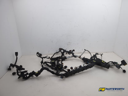 Engine Wiring Harness  1