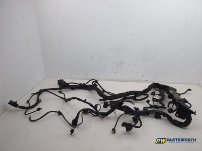 Engine Wiring Harness  1