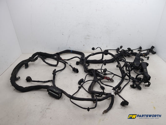 Engine Wiring Harness  1