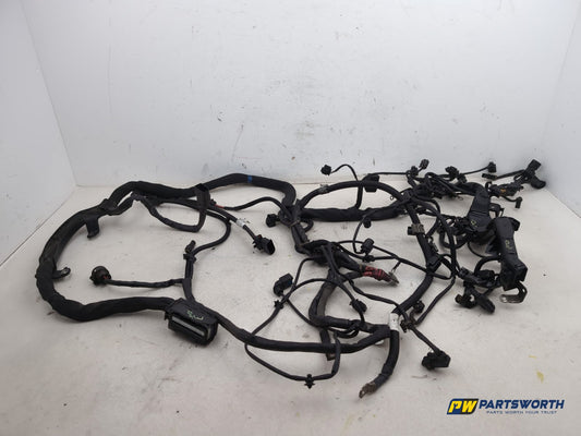 Engine Wiring Harness  1