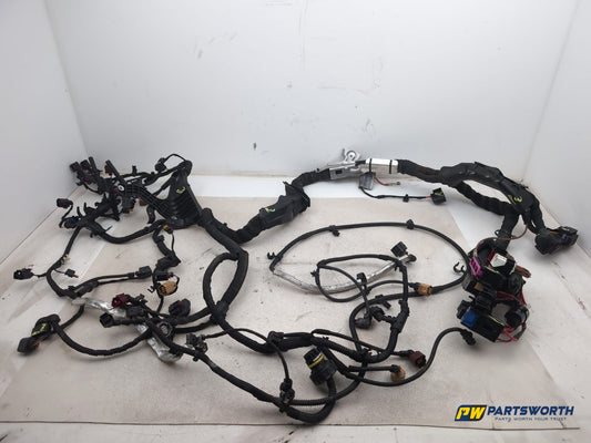 Engine Wiring Harness  1