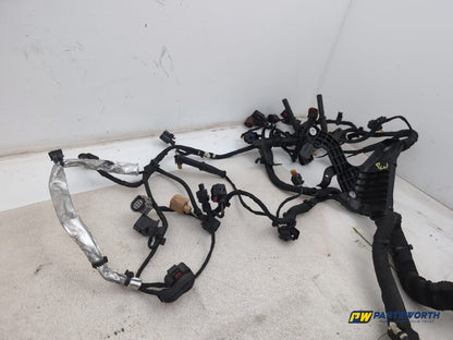 Engine Wiring Harness  6