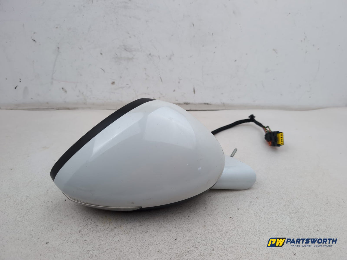 Door Mirror RH 1