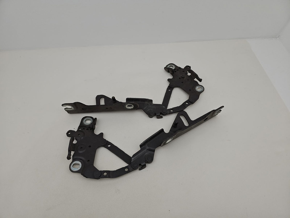 Bonnet Hinges 4