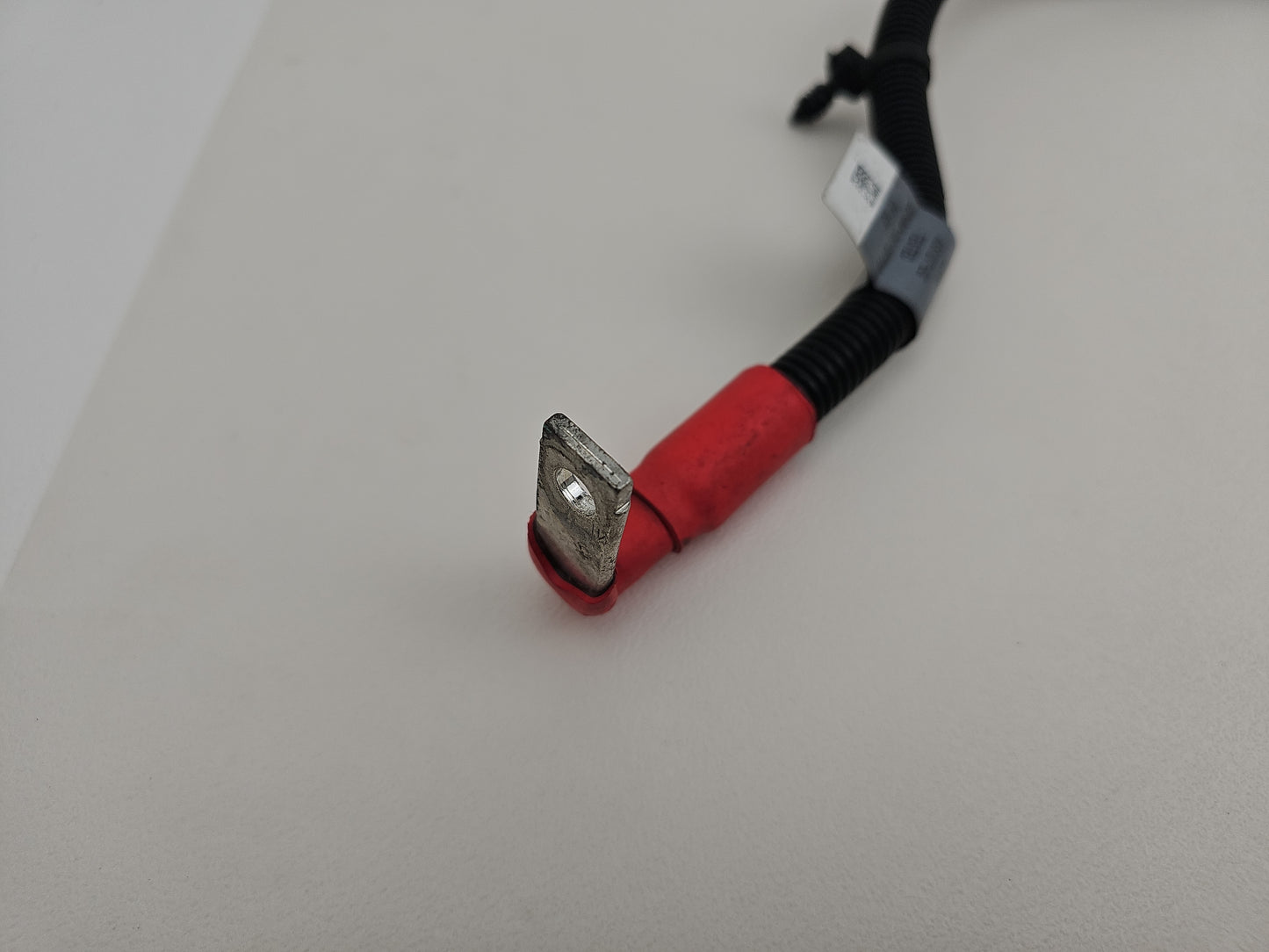Engine Wiring Harness  4