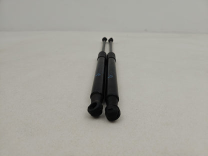 Bonnet Hinges 4