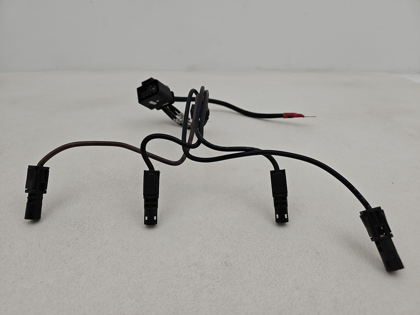 Engine Wiring Harness  4