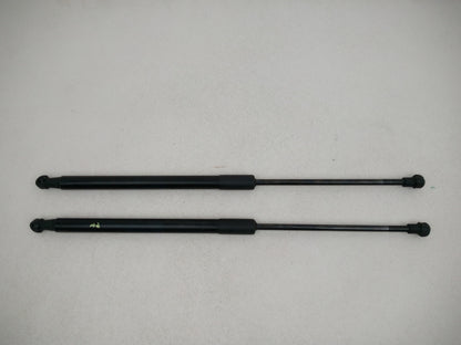 Tailgate Support Strut 4