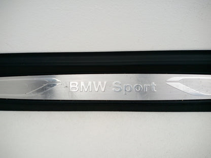 Door Step Insert Cover Trim LH 4