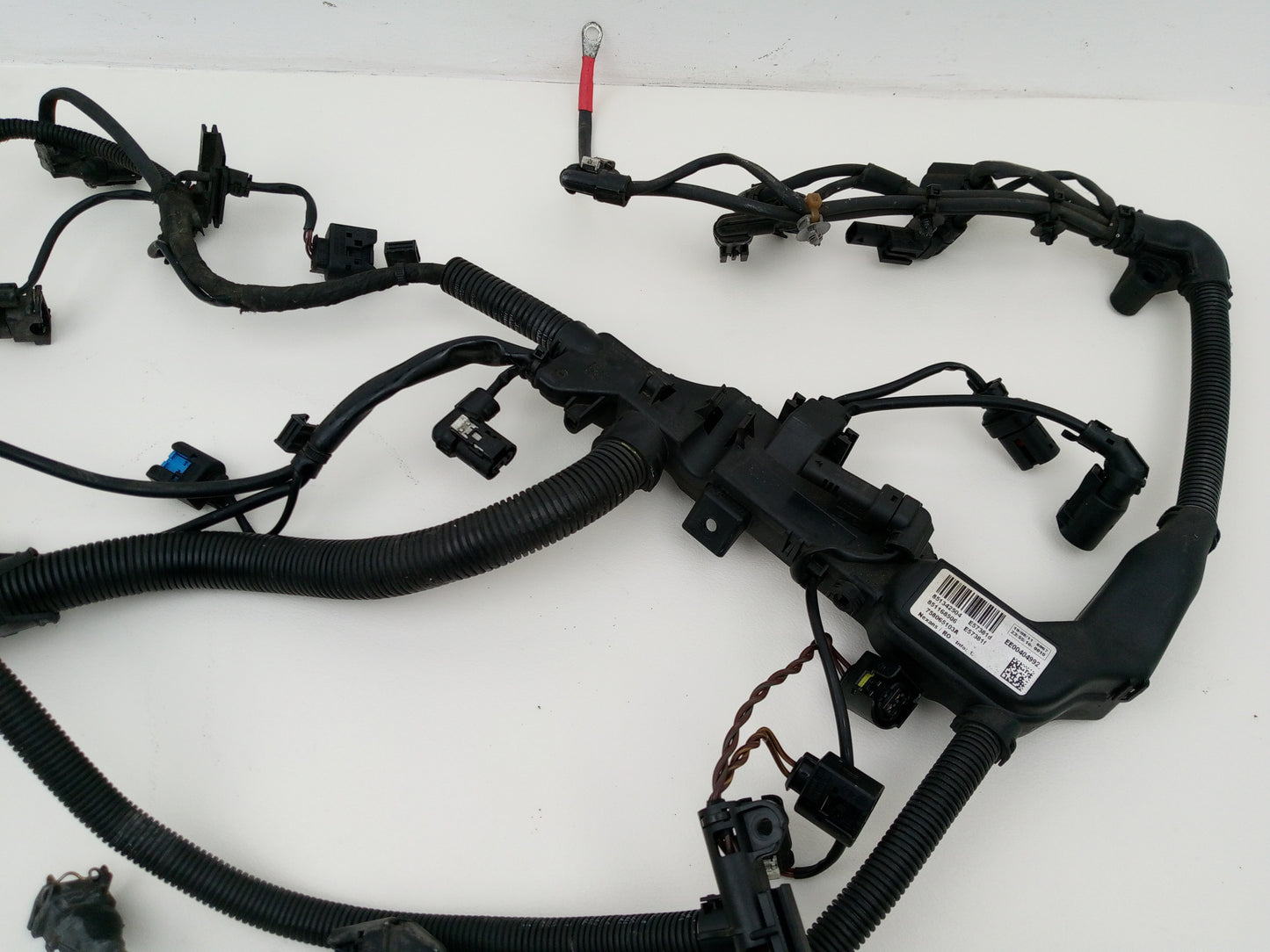 Engine Wiring Harness  4