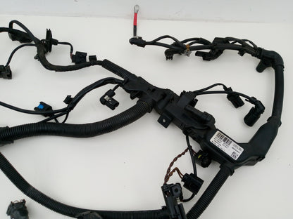 Engine Wiring Harness  4