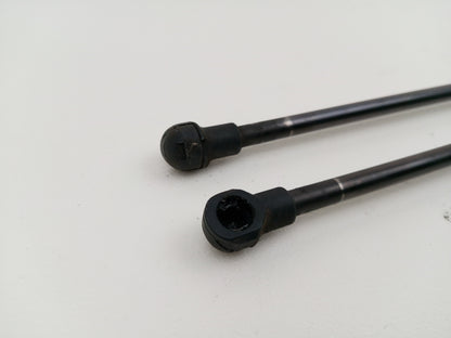 Tailgate Support Strut 4