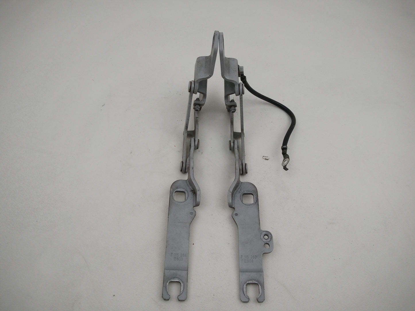 Bonnet Hinges 3