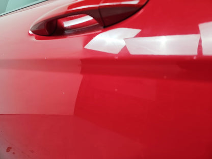Door Rear LH 4