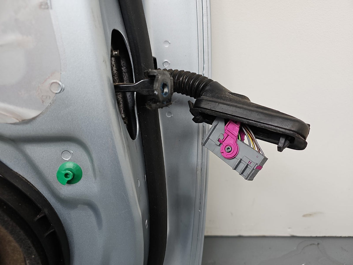 Door Rear LH 10