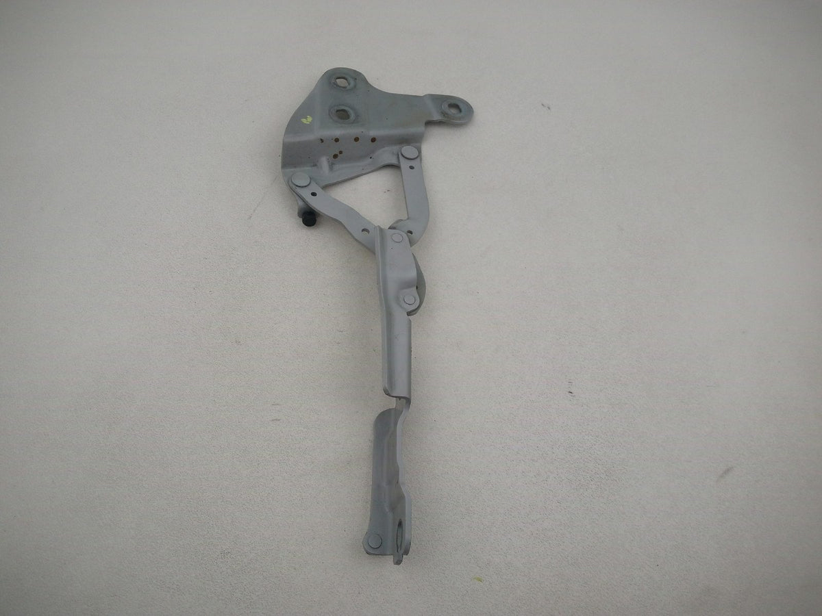 Bonnet Hinges 4