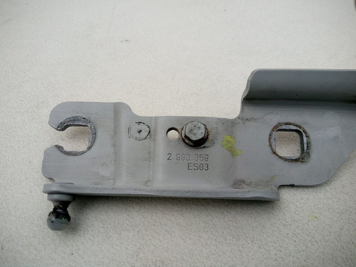 Bonnet Hinges 10