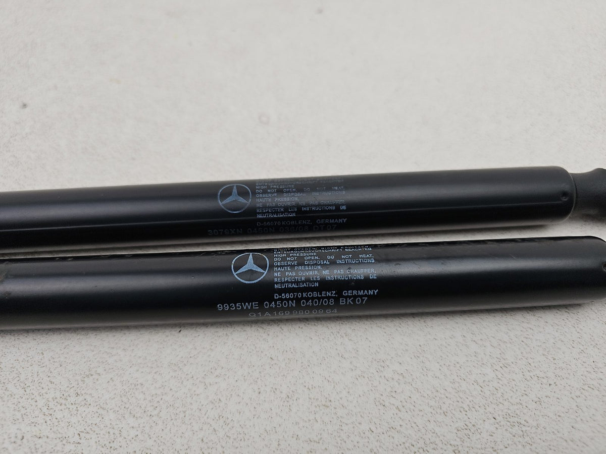 Tailgate Support Strut 4