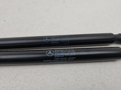 Tailgate Support Strut 4