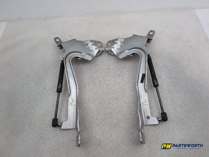 Bonnet Hinges 4