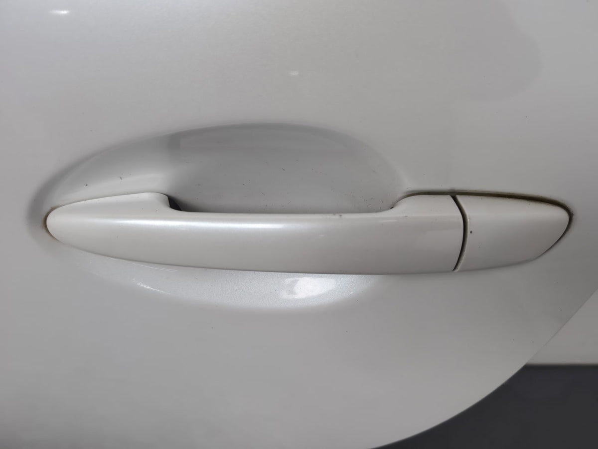 Door Rear LH 4