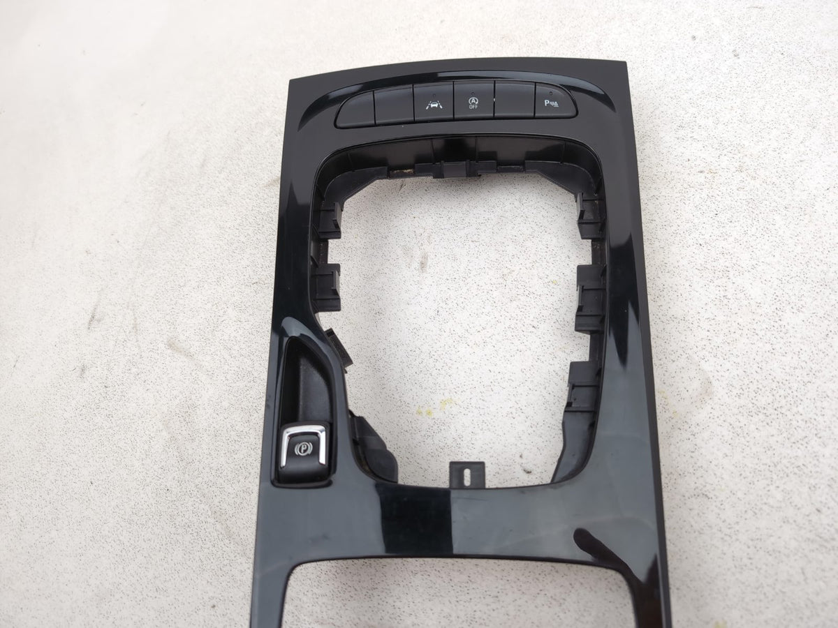 Dashboard Trims  4