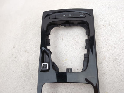 Dashboard Trims  4