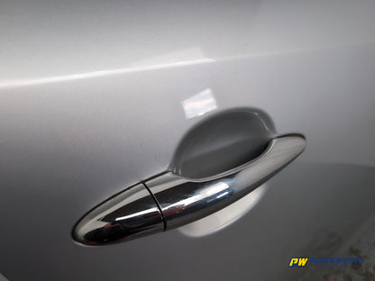 Door Rear RH 4